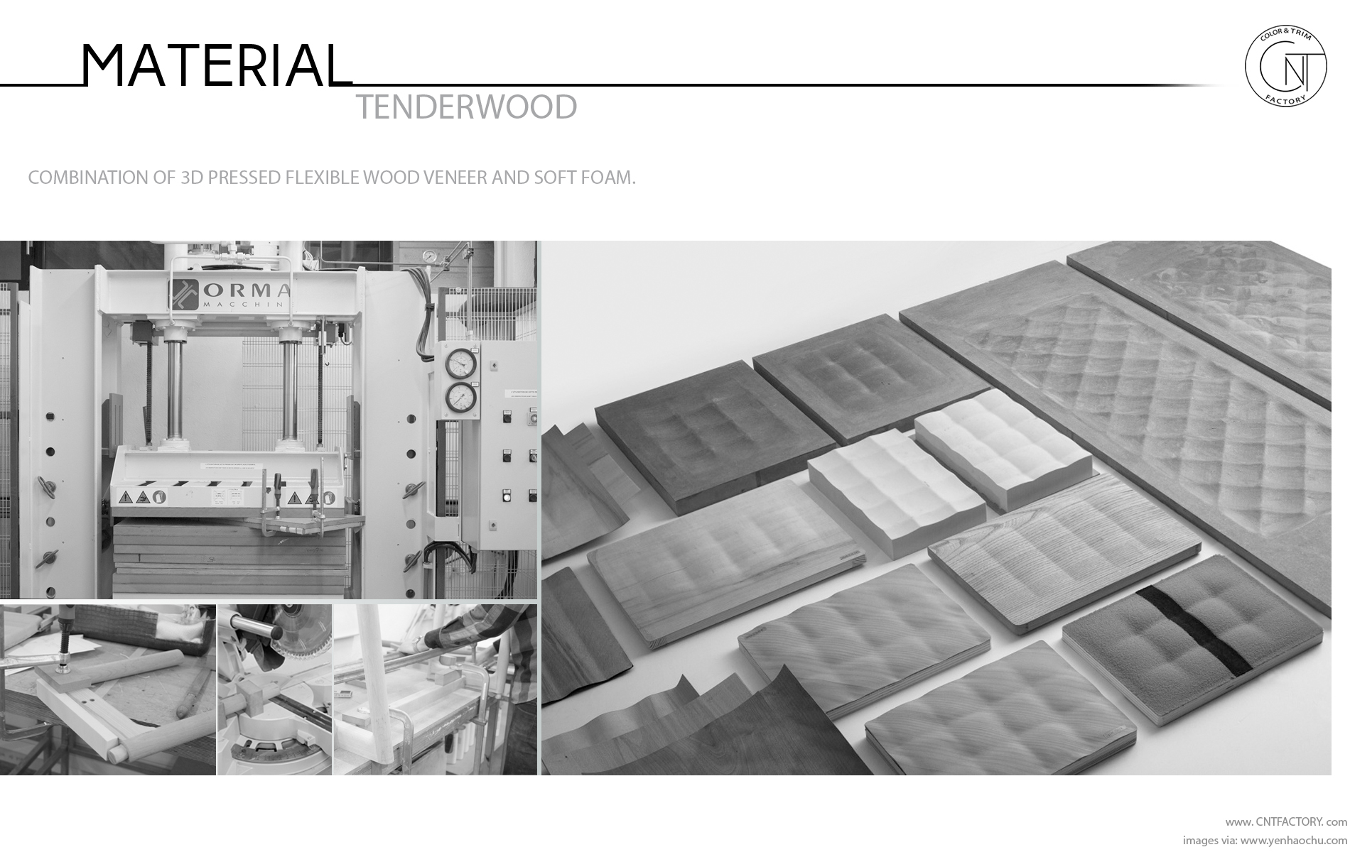 Tenderwood Soft Wood Treatment