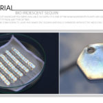 Bio Iridescent Sequin
