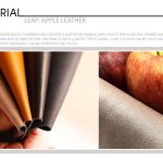 Leap: Apple Leather