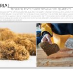 Non Woven Technical Textile Made From Mussel Filaments