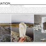 Calcified Craft