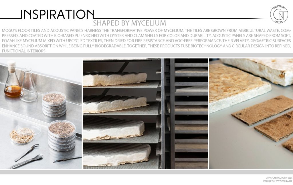Shaped By Mycelium