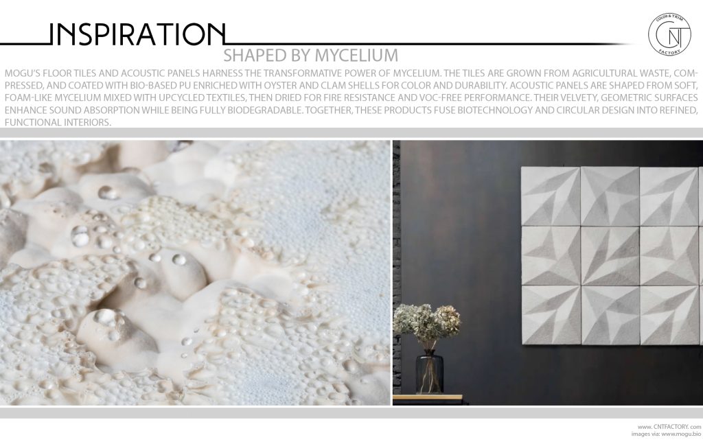 Shaped By Mycelium