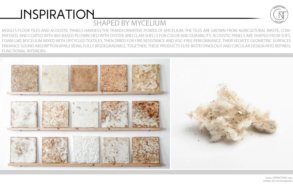 Shaped By Mycelium
