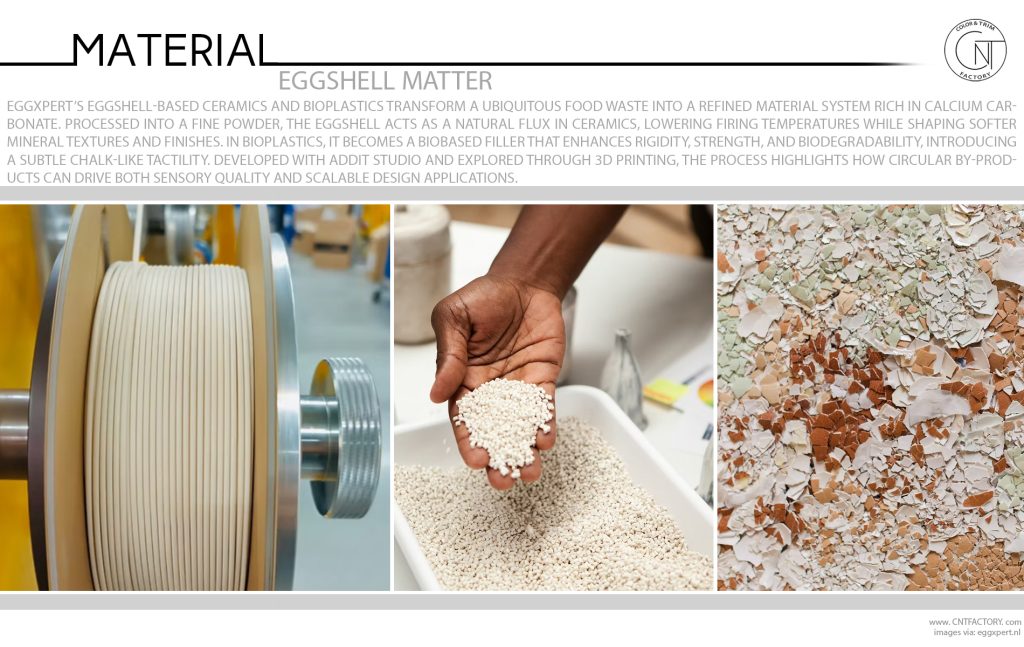Eggshell Matter